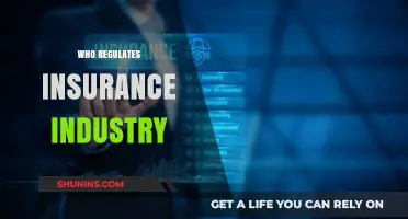 Insurance Industry: Who's Watching the Watchers?