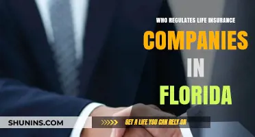 Florida Life Insurance Oversight: Who Regulates Your Policy?