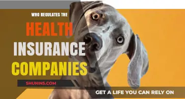 Who Oversees Health Insurance Companies? Understanding Regulatory Bodies and Roles