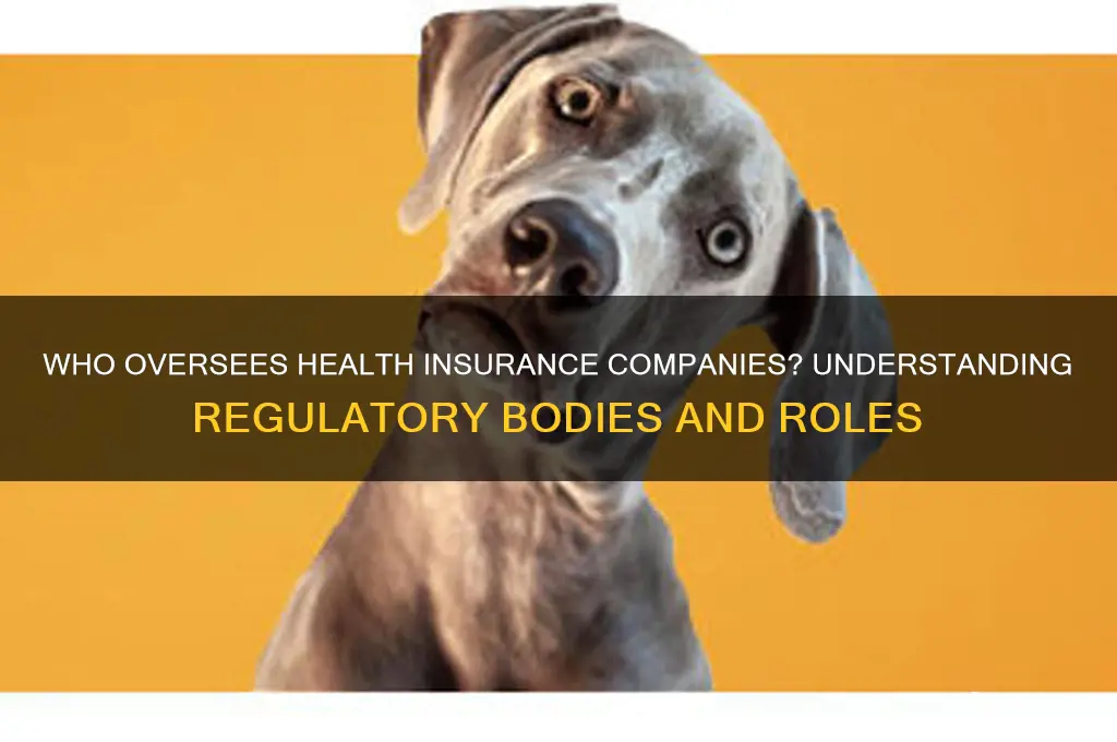 who regulates the health insurance companies