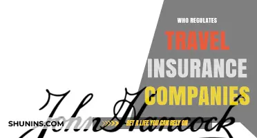 Who Oversees Travel Insurance Companies? Understanding Regulatory Bodies and Roles