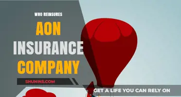 Who Reinsures Aon? Unveiling the Key Players Behind the Giant