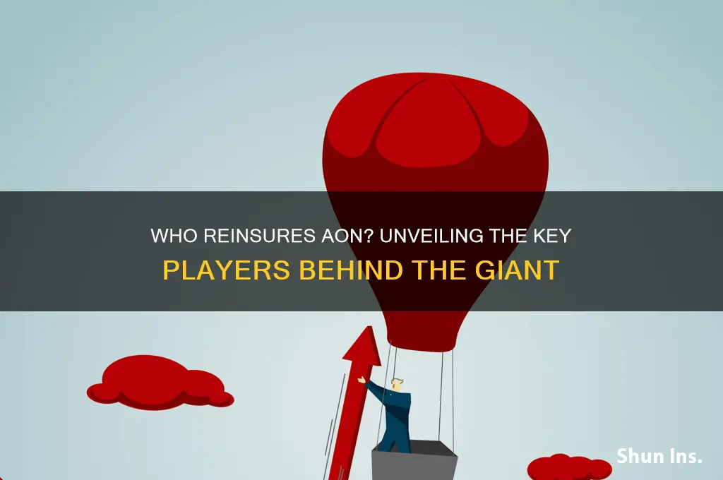 who reinsures aon insurance company