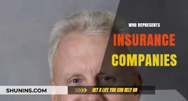 Who Represents Insurance Companies: Key Players and Their Roles Explained