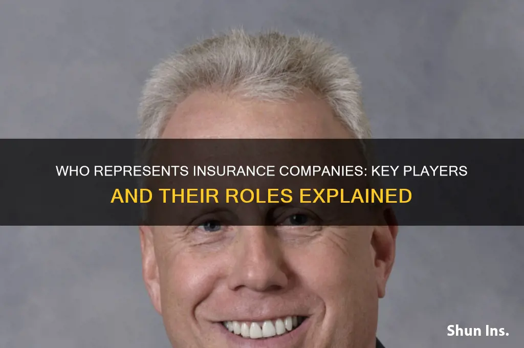 who represents insurance companies