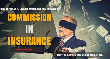 Insurance Brokers: Representing Multiple Companies for Commission-Based Services