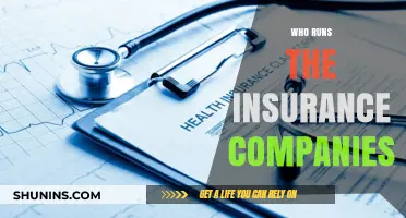 Unveiling the Power Players: Who Controls the Insurance Industry?
