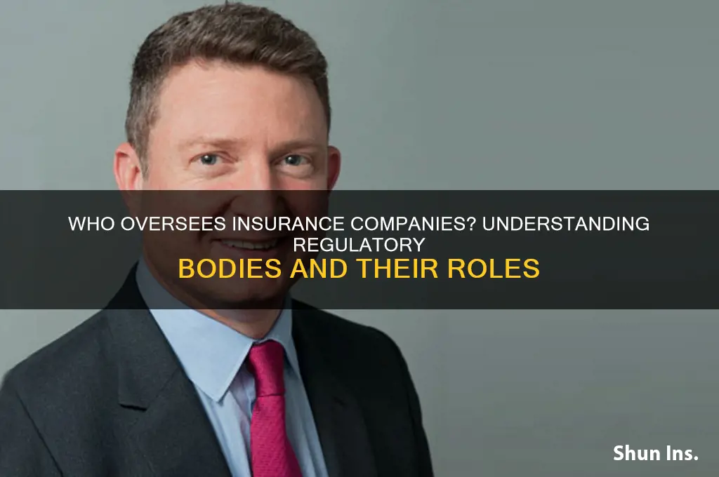 who supervises insurance companies