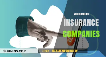 Unveiling the Key Players: Who Supplies Insurance Companies with Services?
