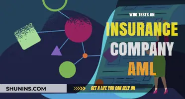 Who Tests Insurance AML Compliance? Key Players and Processes Explained