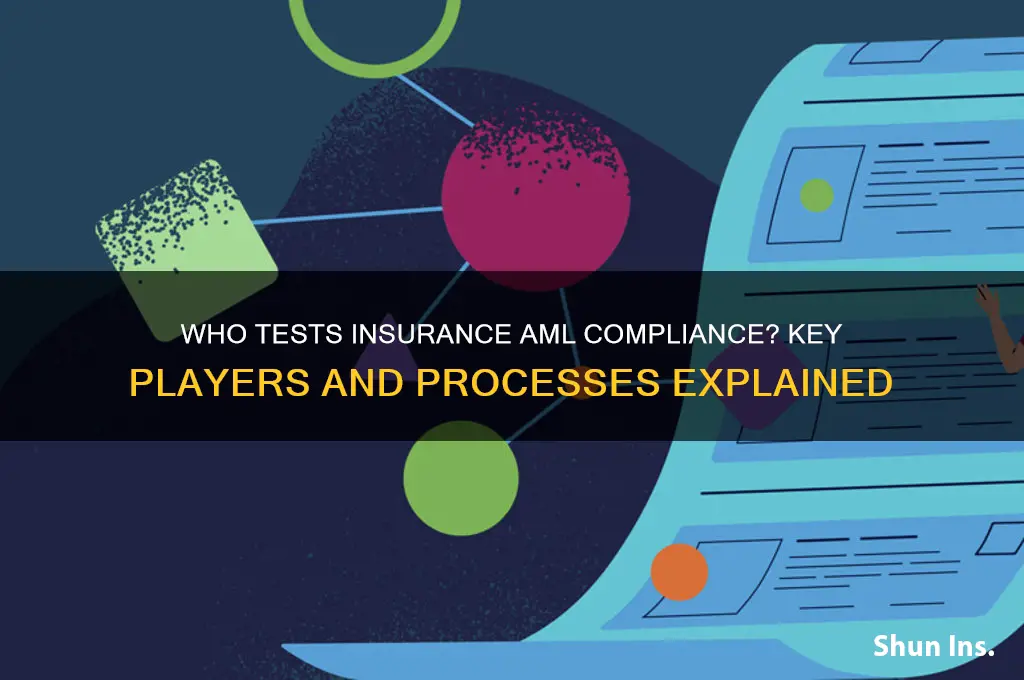 who tests an insurance company aml
