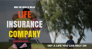 Who is Wilco Life Insurance? Uncovering the Company's Identity and Services