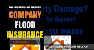 Who Underwrites AAA Insurance Company's Flood Insurance Policies?