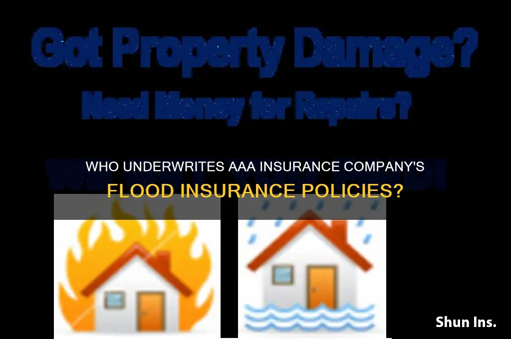 who underwrites aaa insurance company flood insurance