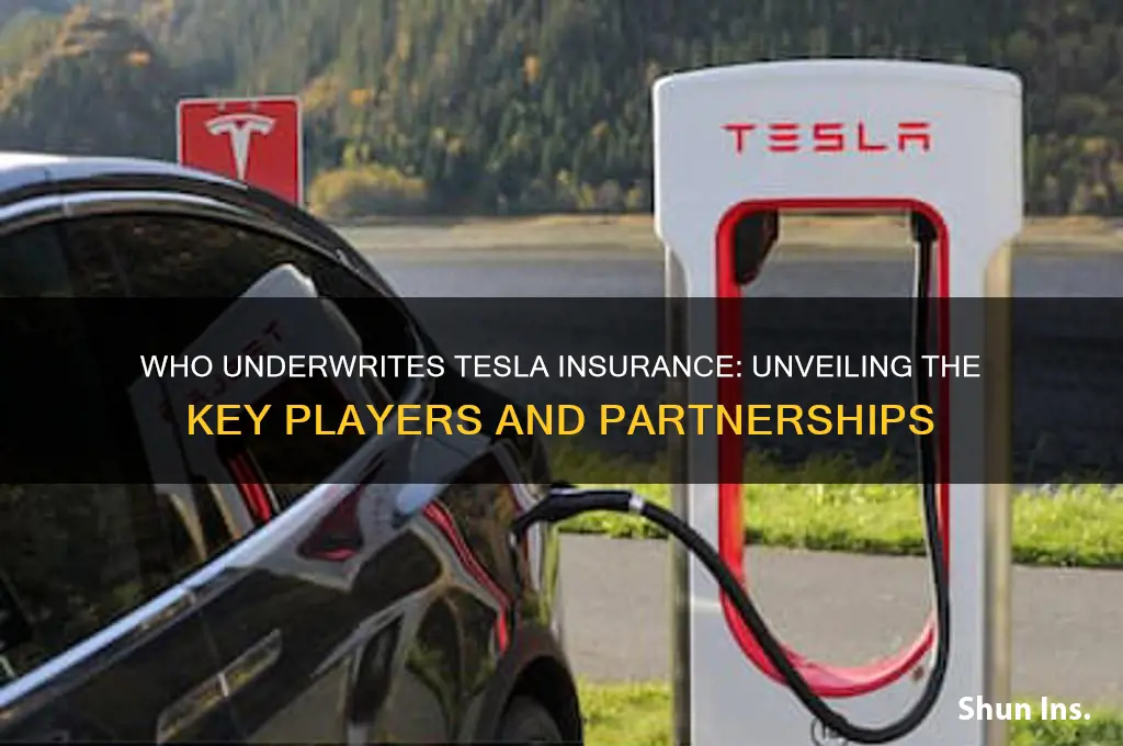 who underwrites tesla insurance
