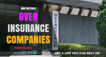 Who Regulates Insurance Companies? Understanding Oversight and Consumer Protection