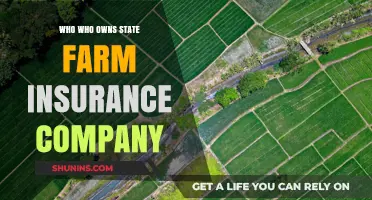 Who Owns State Farm Insurance? Uncovering the Company's Leadership