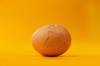 whole life insurance