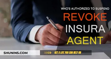 Insurance Agent: Who Can Suspend or Revoke Their License?