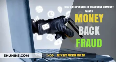 Insurance Fraud Recoupment: Who Bears Responsibility for Repayment?