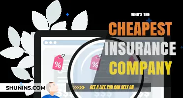Discover the Most Affordable Insurance Providers: Who Offers the Lowest Rates?
