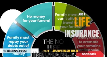 Why Life Insurance is a Wise Investment for Your Future