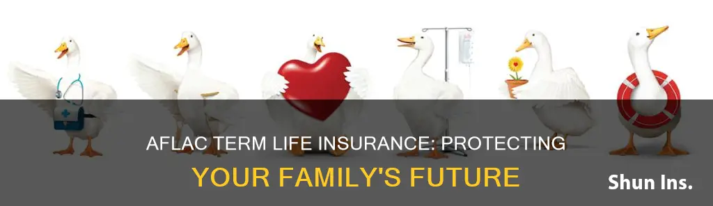 why aflac term life insurance