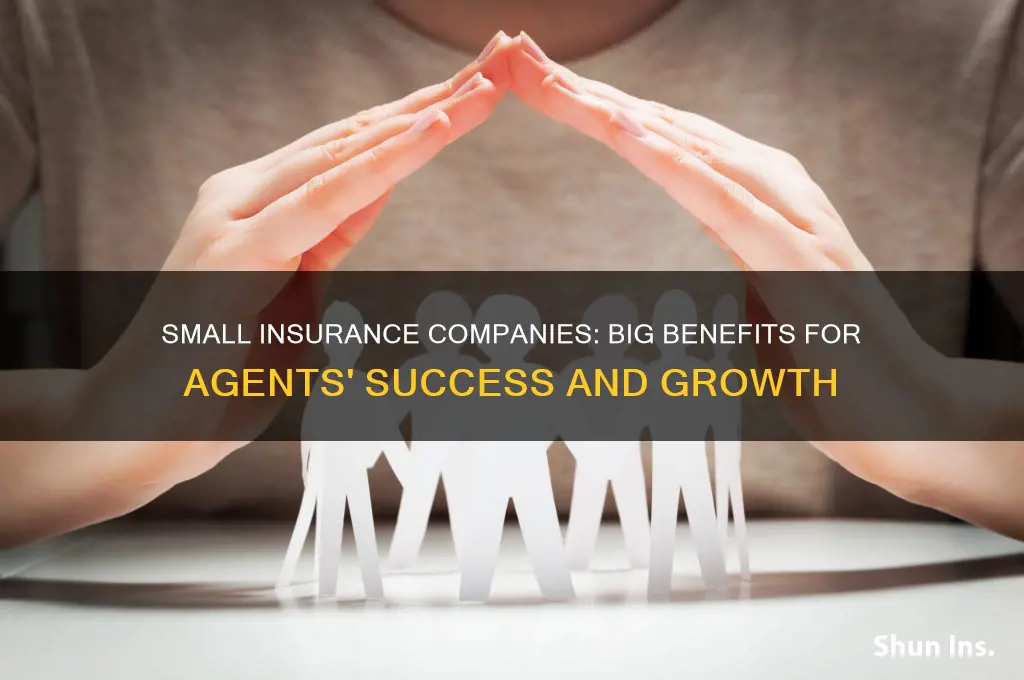 why agents should work with small insurance companies