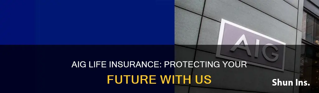 why aig life insurance