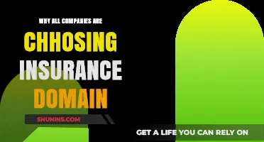 Why Every Company is Embracing the Insurance Domain Today