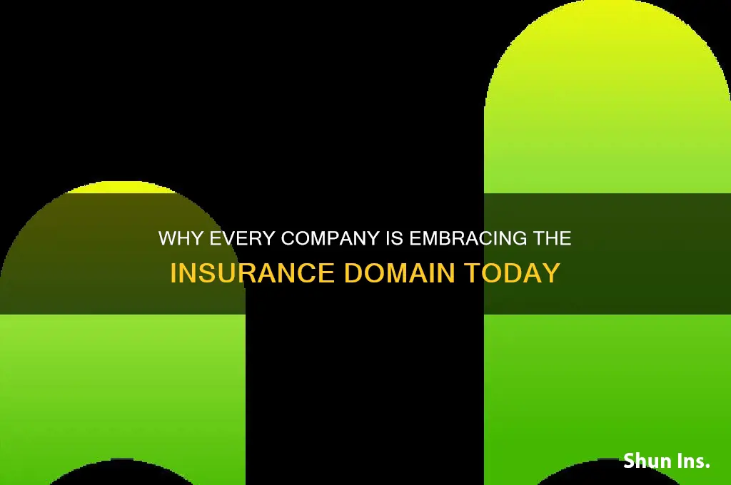 why all companies are chhosing insurance domain
