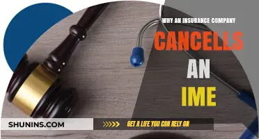 Why Insurance Companies Cancel IMEs: Key Reasons and Implications