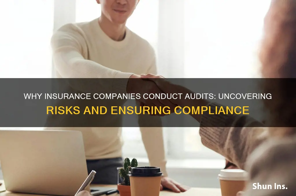why an insurance company do audits