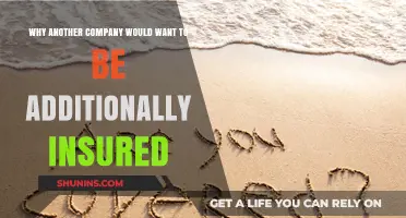 Why Additional Insured Status Benefits Your Business Partnerships
