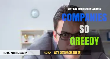The Greed Epidemic: Uncovering American Insurance Companies' Profit-Driven Practices