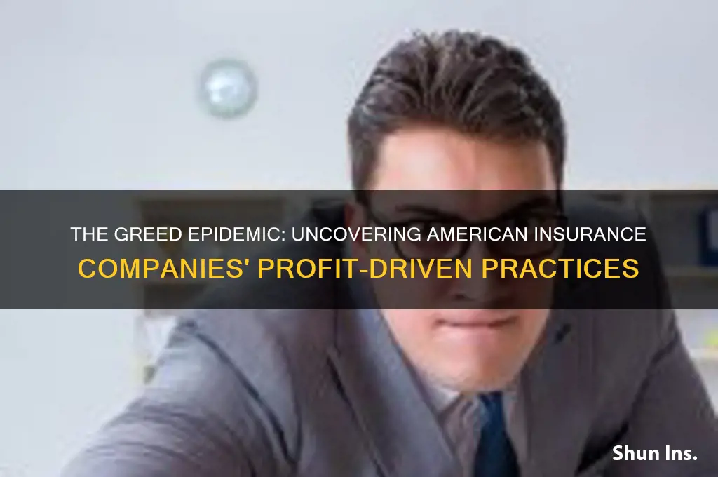 why are american insurance companies so greedy