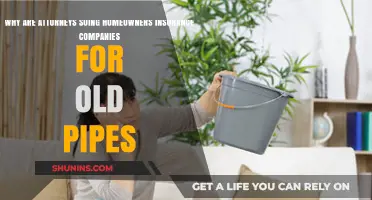 Attorneys Sue Homeowners Insurance Over Aging Pipe Claims: Why?