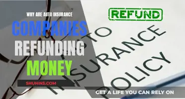 Auto Insurance Companies: Refunds and Their Reasons