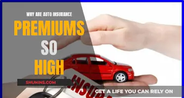 Auto Insurance Premiums: Why the Steep Cost?