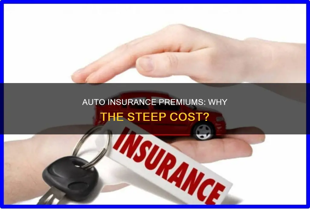 why are auto insurance premiums so high