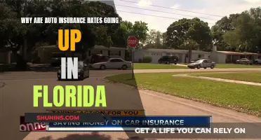 Florida Auto Insurance Rates: Rising Costs Explained