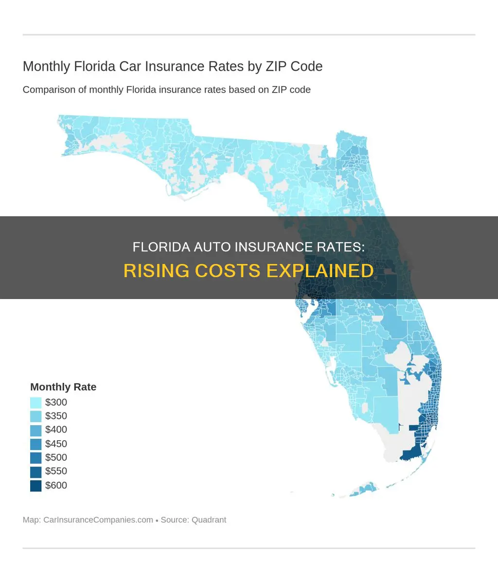 why are auto insurance rates going up in Florida