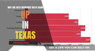 Texas Auto Insurance Rates: Rising Costs Explained