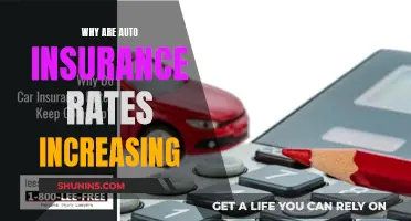 Auto Insurance Rates: Why the Spike?