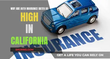 Auto Insurance Rates: California's High Costs Explained