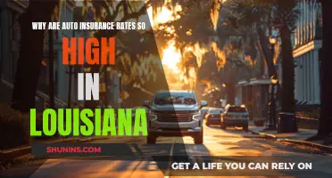 Louisiana Auto Insurance: Rates, Reasons, and Solutions