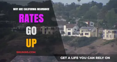 California Insurance Rates: Rising Costs Explained
