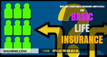 Why Companies Are Charging Employees for Basic Life Insurance