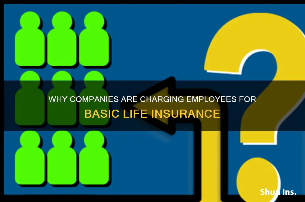 why are companies charging employees for basic life insurance