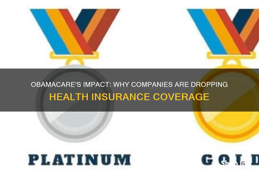 why are companies dropping health insurance because of obamacare